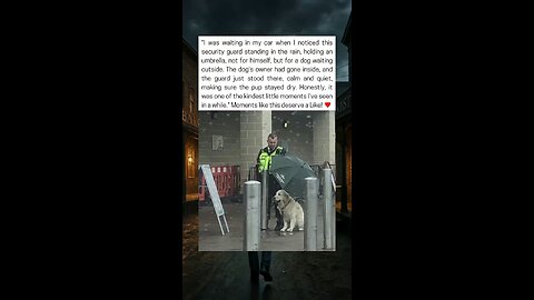 Security Guard Holds Umbrella For Dog In The Rain