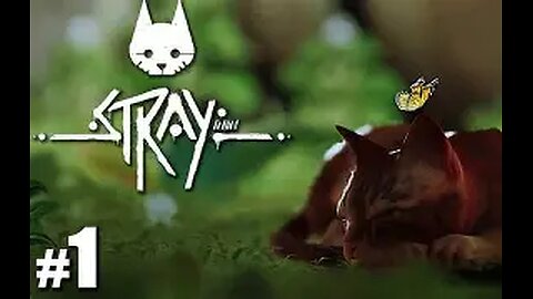 🌆 STRAY - Aventura Felina no Mundo Cibernético! 🐱✨(LONGPLAY)