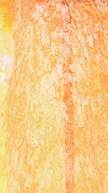 Where the WiFi’s weak but the connection is strong. 🍃