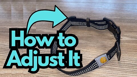How to Adjust the Carhartt Dog Collar
