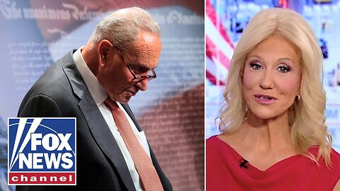 'PROFOUNDLY STUPID': Liberal pundits unload on Dems' denial