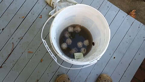filter balls cleaned from Polaris 280