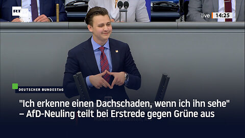 "Ich erkenne einen Dachschaden, wenn ich ihn sehe" – AfD-Neuling teilt bei Erstrede gegen Grüne aus
