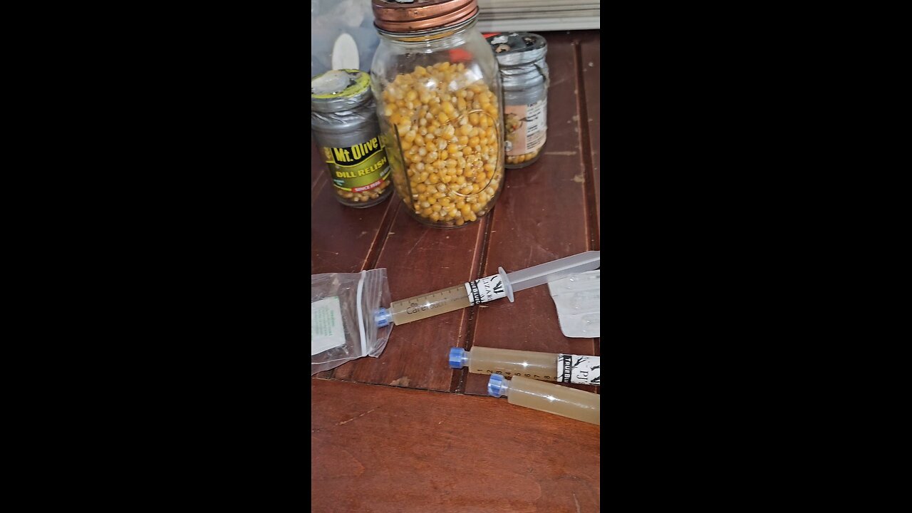 Medicinal mushroom talk