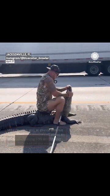 ALLIGATOR TRAPPER CAPTURE🚗🛣️🐊👱‍♂️🤳📸👮‍♂️TEN FOOT ALLIGATOR CROSSING HIGHWAY IN FLORIDA👮🚓🛣️🐊🚚💫