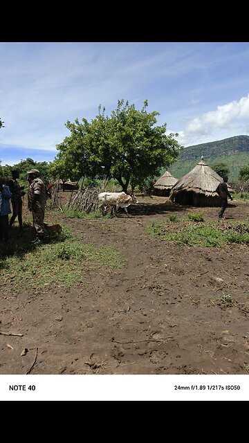 𝙻𝚊𝚗𝚍𝚜𝚌𝚊𝚙𝚎, 𝚂𝚆 𝚄𝚐𝚊𝚗𝚍𝚊