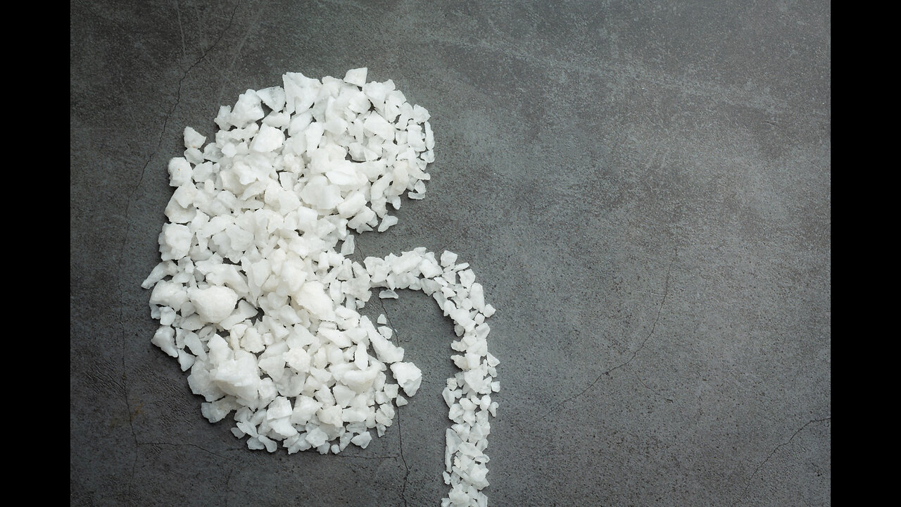 Endocrine Disruption Explained