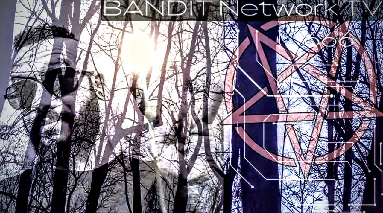 AS THE STREETS SLEEP A TIGER CREEPS | LIGHTNING TIGER SAGA VOL II