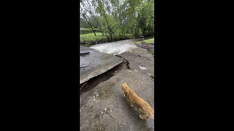 Disaster.