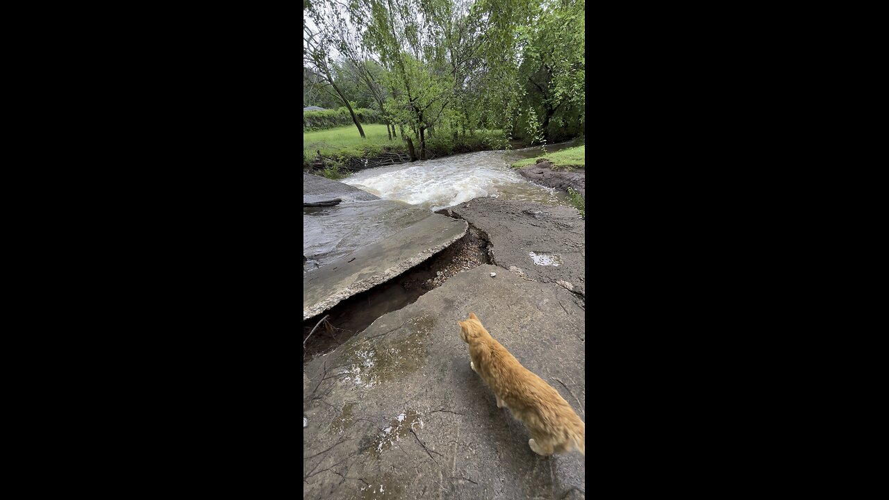 Disaster.