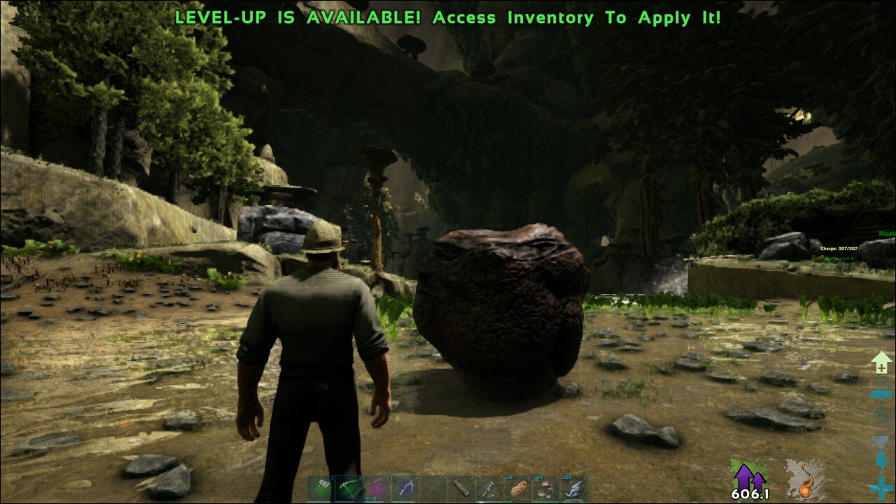 ark game play