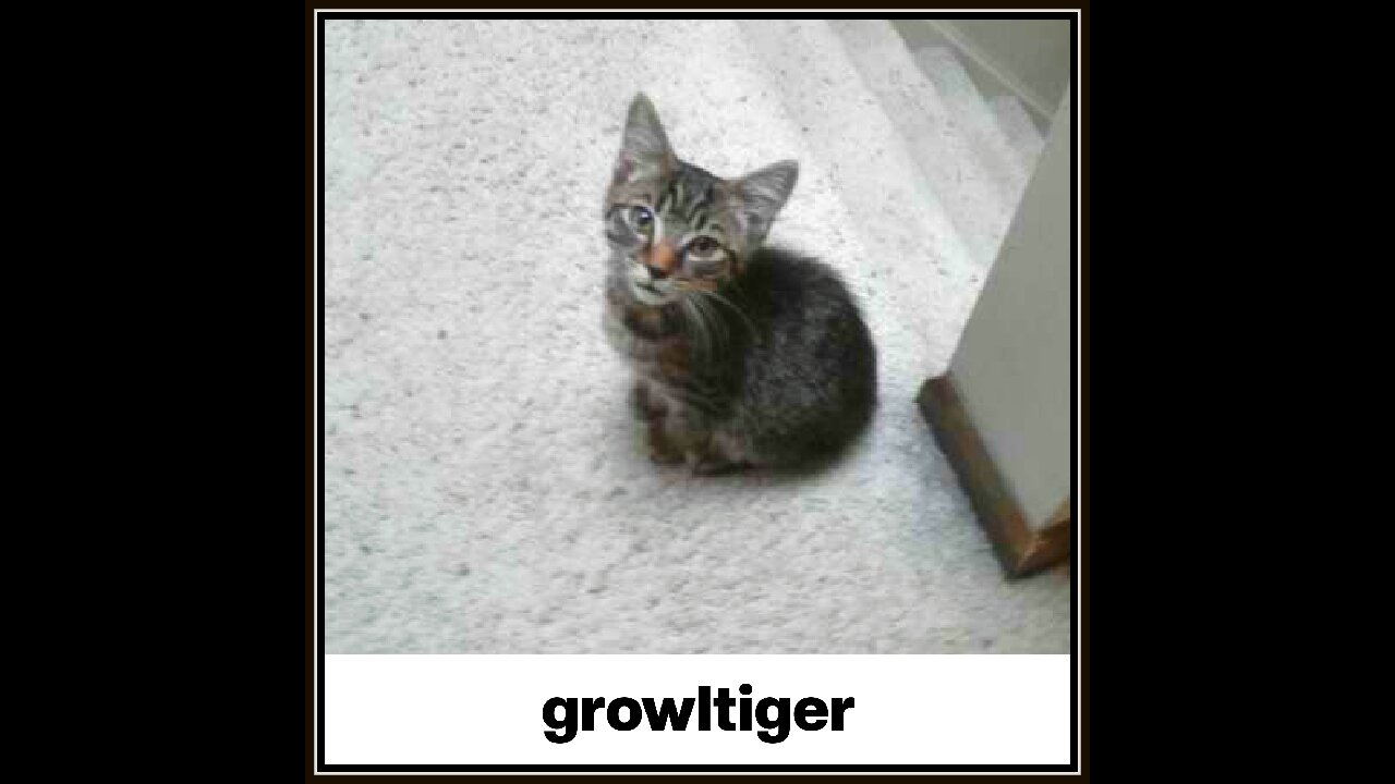 The Color Purple - Quincy Jones (Main Titles)