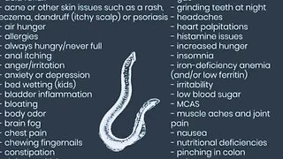 Cysts are baby parasites and eggs according to the literature