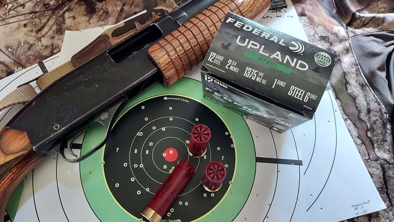 Federal Upland Steel loads, 12 gauge in 2.75" shells loaded with No. 6 shot.