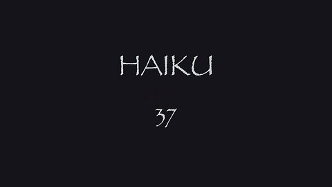 HAIKU 37