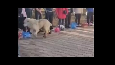 ВАШЕ ИСТИННОЕ ЛИЦО…