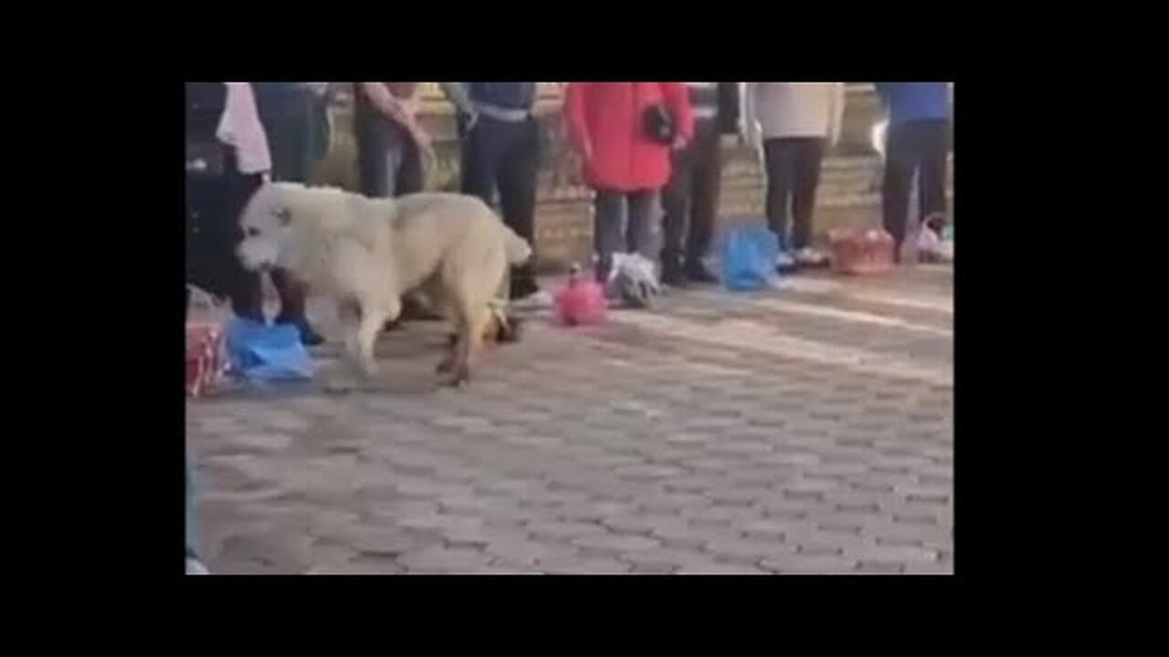 ВАШЕ ИСТИННОЕ ЛИЦО…