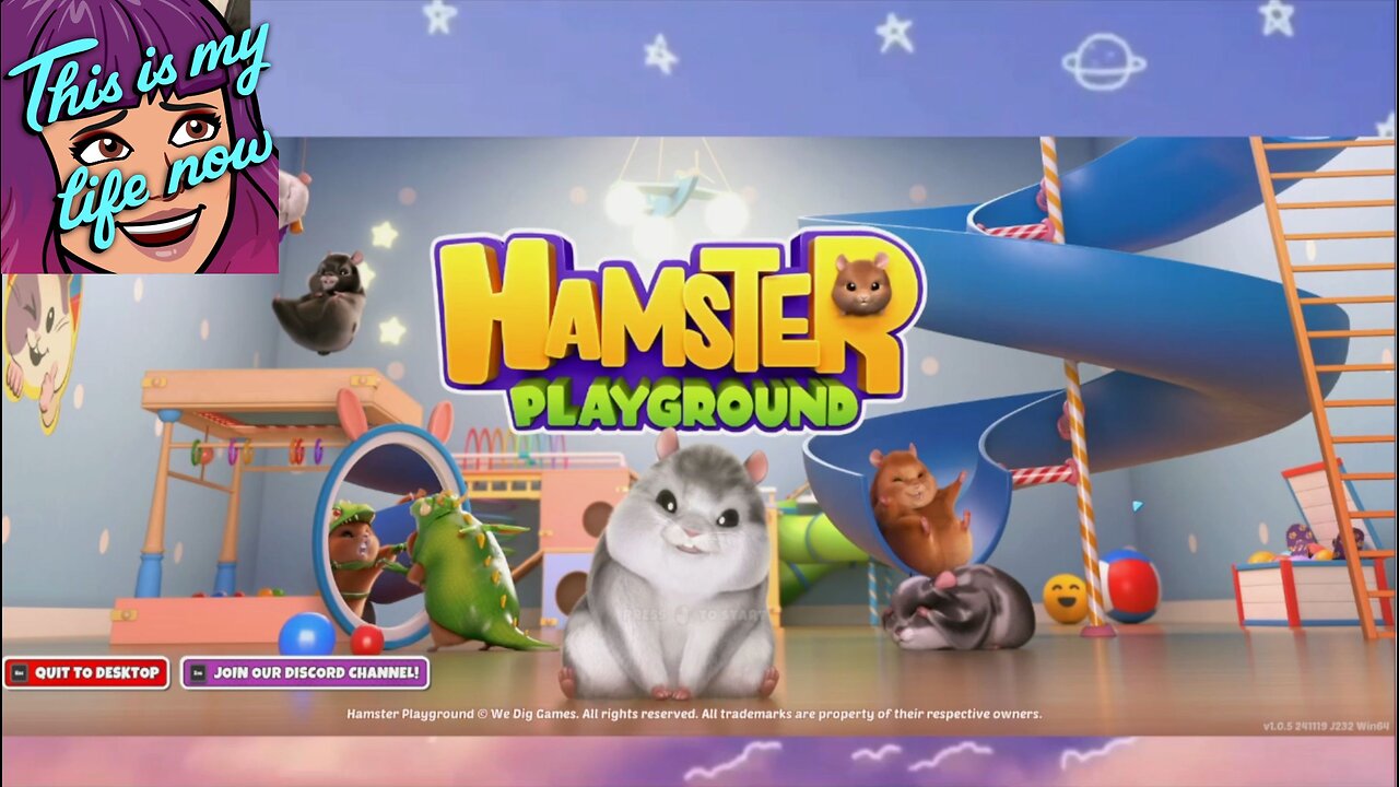 Hamster playground!!
