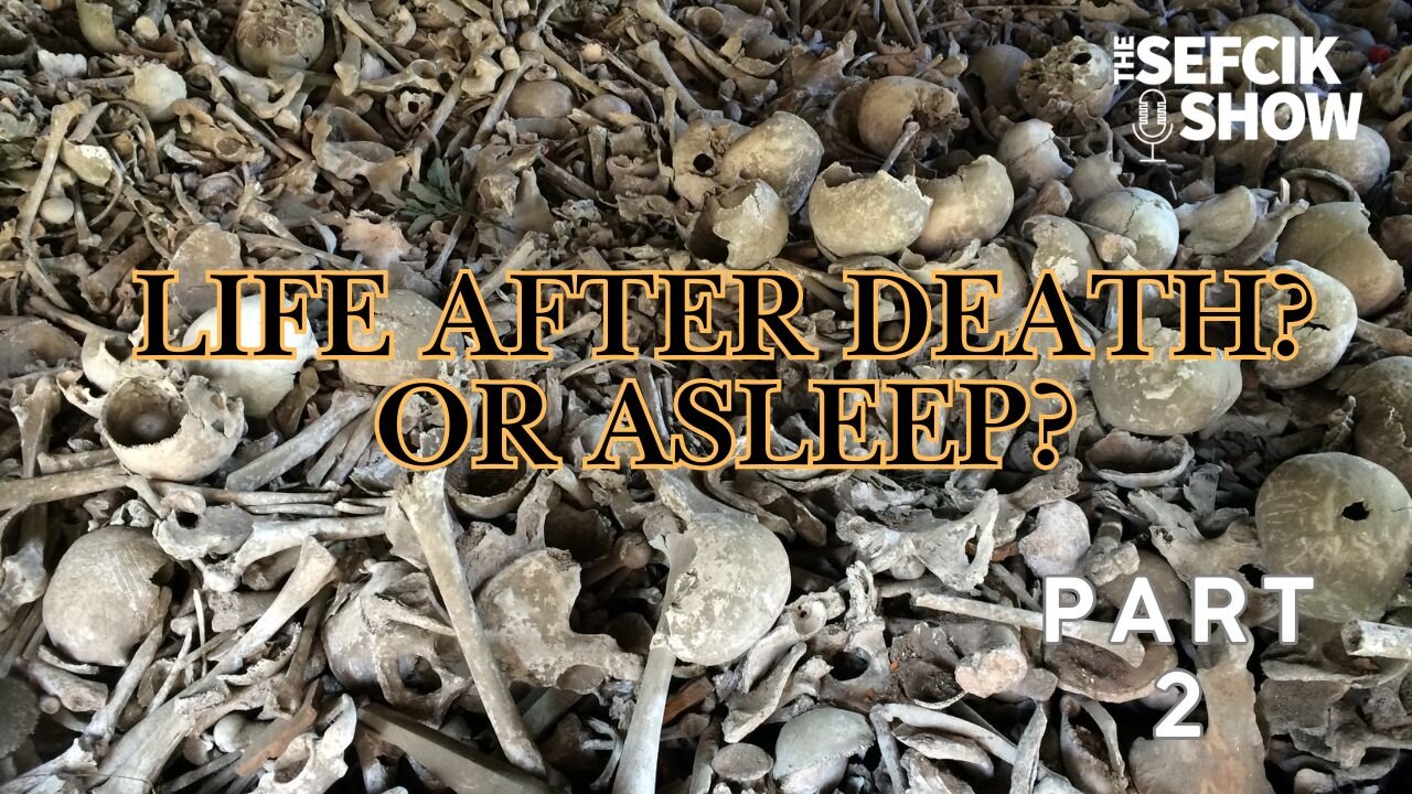 Life After Death? or Asleep? Part 2