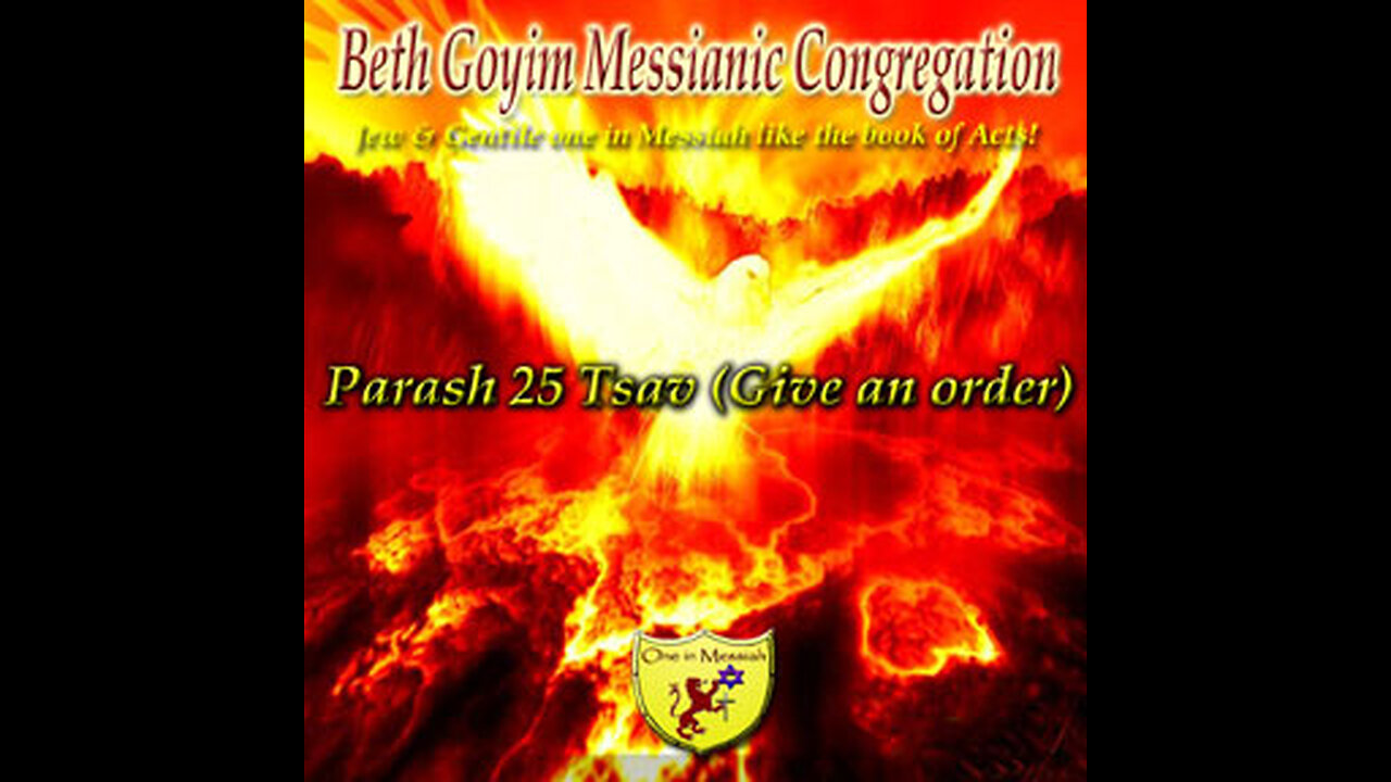 BGMCTV Parash 25 Tsav (Give an order) Vayikra/Leviticus 6:1-8:36