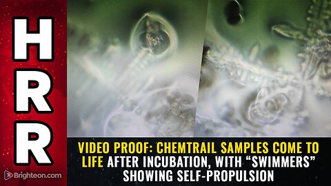Chemtrail samples COME TO LIFE after incubation, with “swimmers” showing self-propulsion