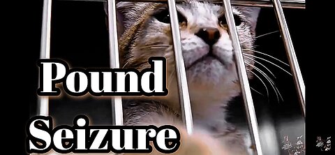 The Open Secret Of Vivisection