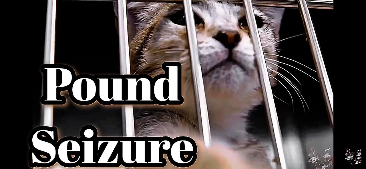 The Open Secret Of Vivisection