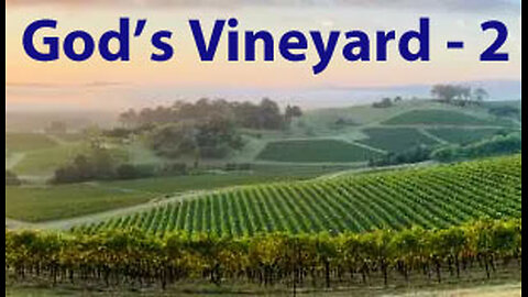 God's Vineyard - 2