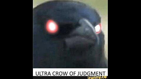 Komedi zeigan + chili cookout