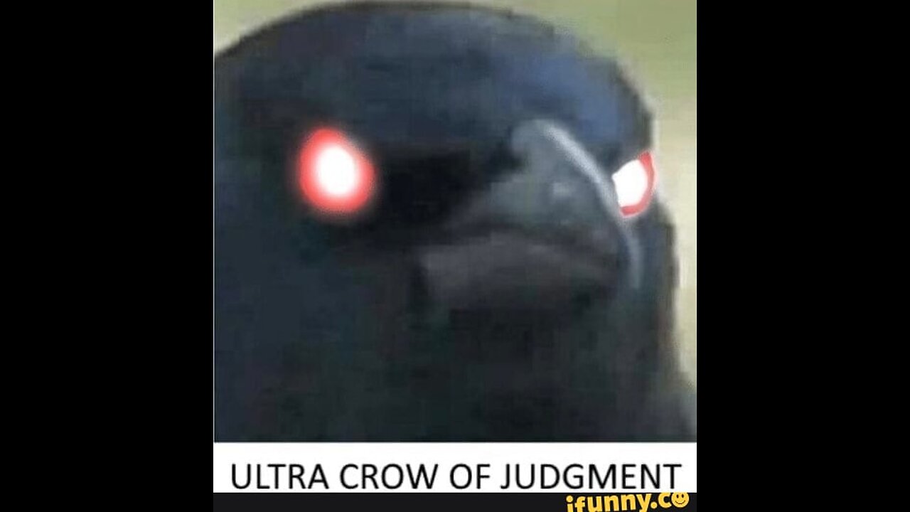 Komedi zeigan + chili cookout