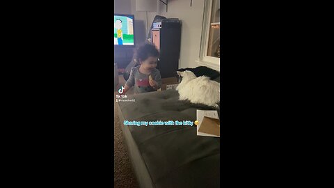 Eat the cookie kitty