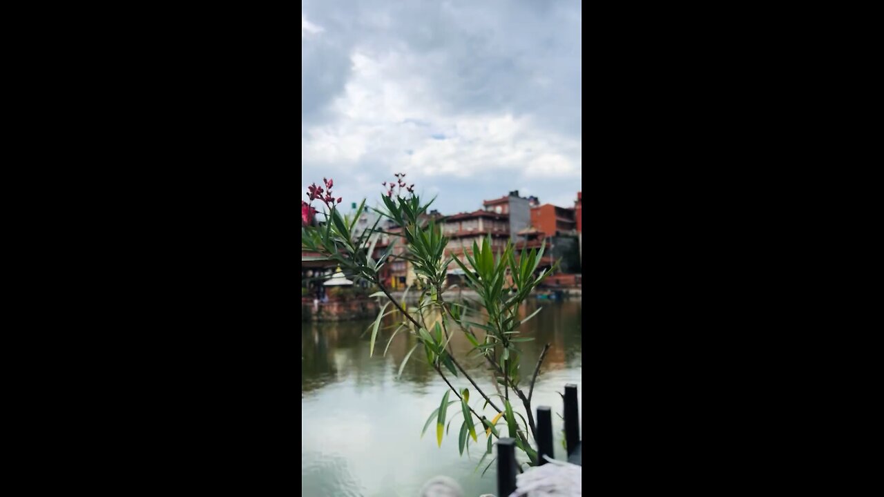 Pimbahal Pokhari