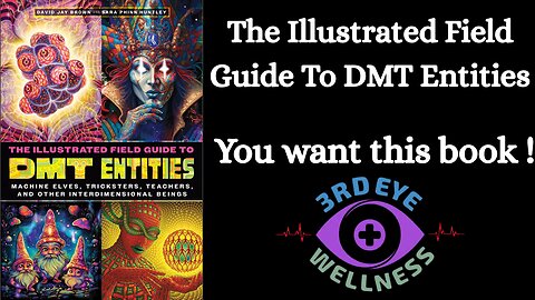 The Illustrated Guide to DMT Entities Review