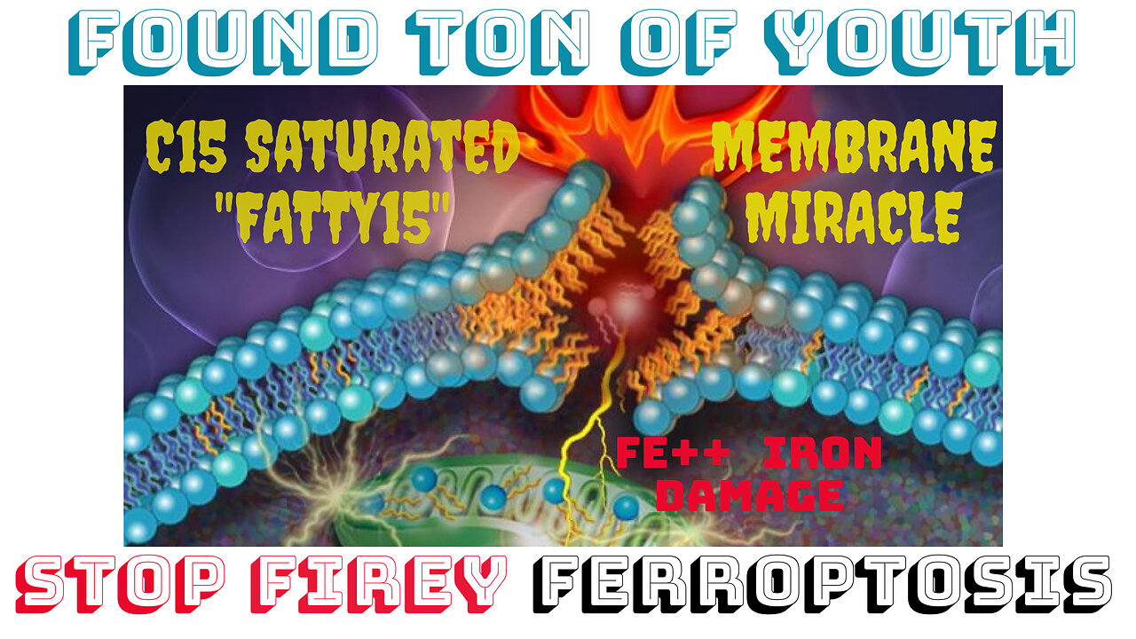 Block #Ferroptosis Cell Death and #diseaseprevention with #c15 #Fatty15, Dr Richard Visser