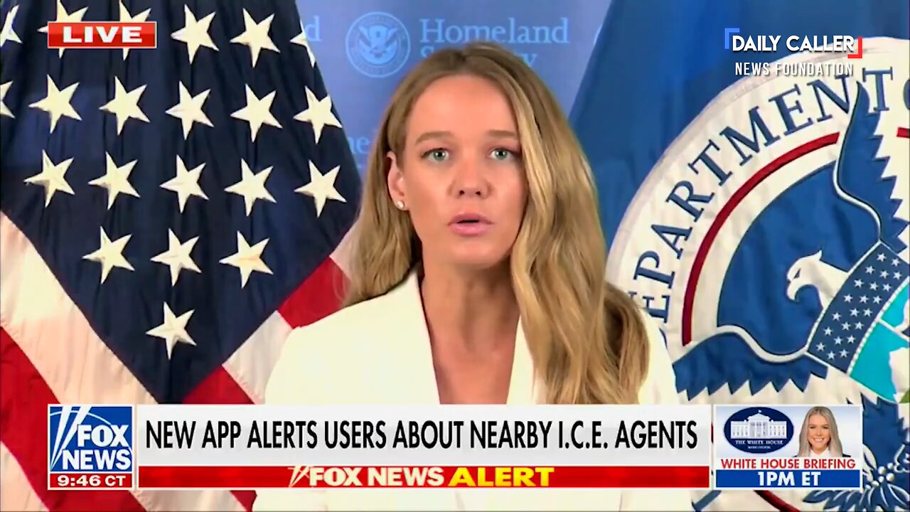 Tricia McLaughlin Slams CNN-Backed Anti-ICE App: 'Obstructing Justice'