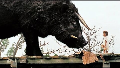 Once There Was A Hushpuppy