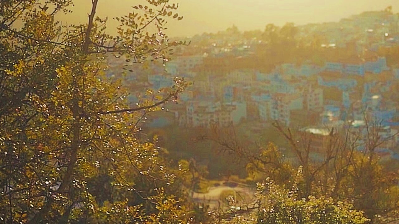 CRAZY FOR BETTY (SHORT FILM)