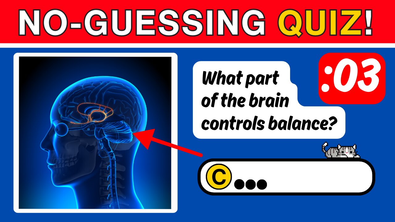 Can You Get at Least 15 Right? | No-Guessing Human Body Quiz