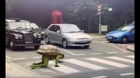 When You’re Late but Still a Turtle 🐢😂