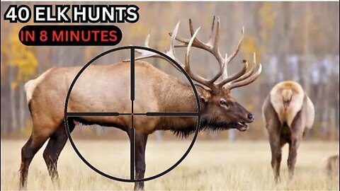 40 ELK HUNTS IN 8 MINUTES (Rifle And Archery Hunting) ULTIMATE ELK HUNTING COMPILATION