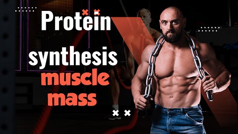 protein synthesis for muscle mass
