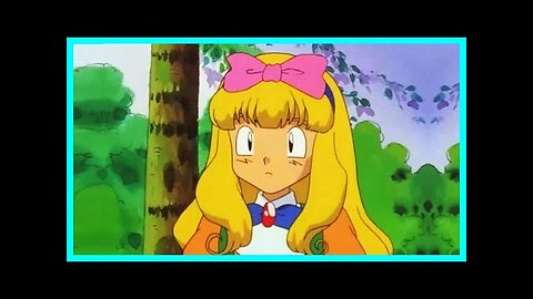 Vinny's Experience