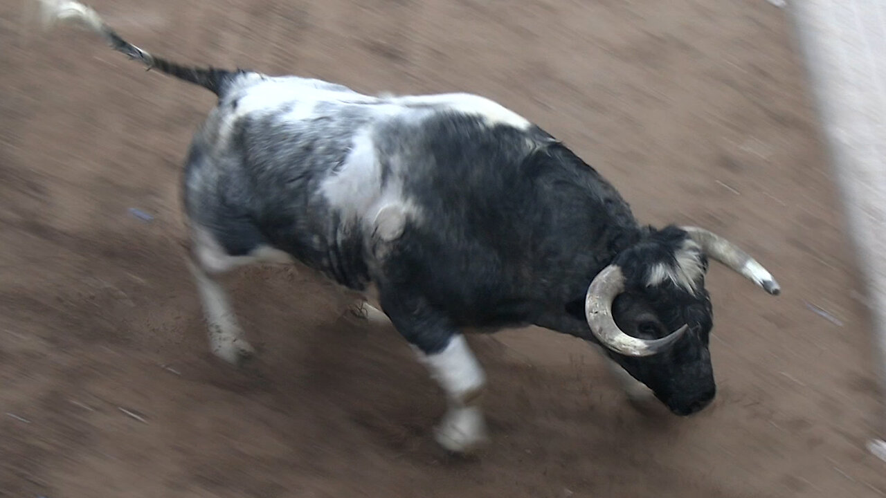 2025 04 21/ 05 01 LA VALL D'UIXÓ SANT VICENT FERRER