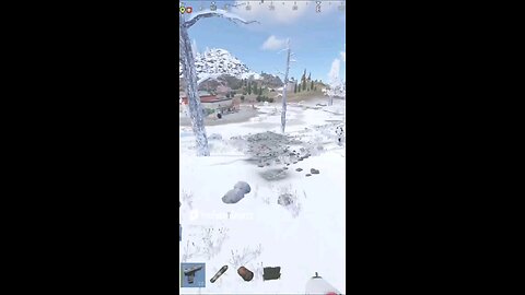 Car Suffering