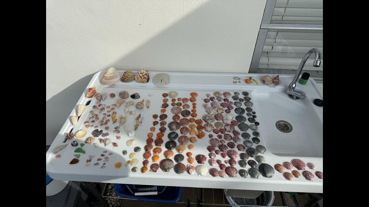 Beach Finds 8/22/2025 | 4K