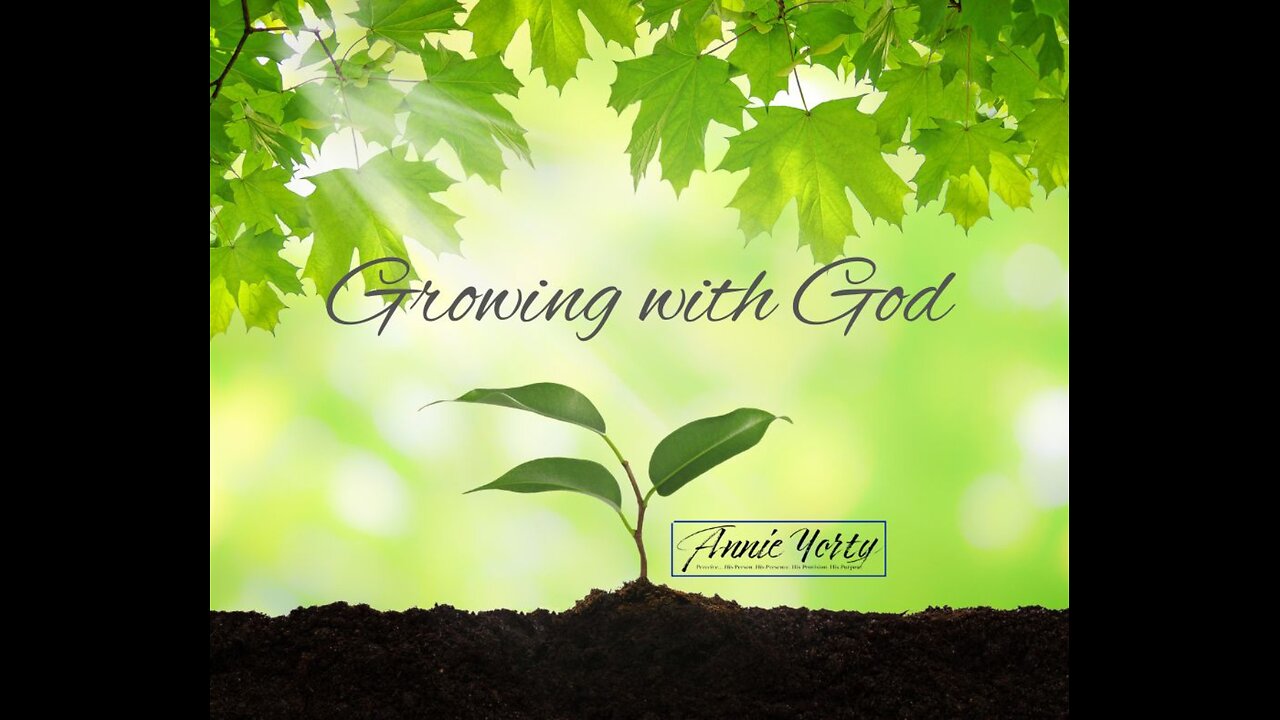 Before the World Wakes Up