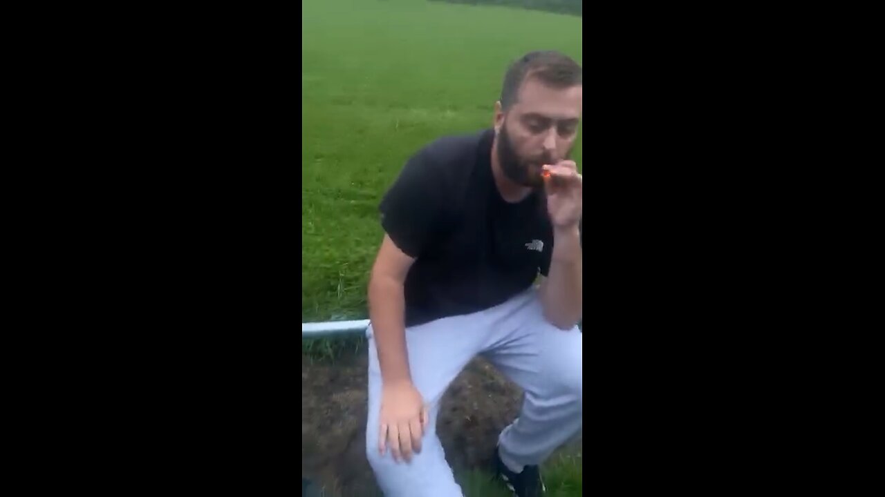 Crazy Predator sting