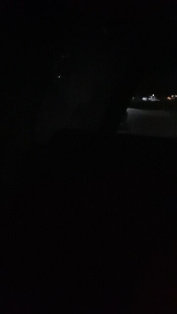 A Little Lullaby in the Morning