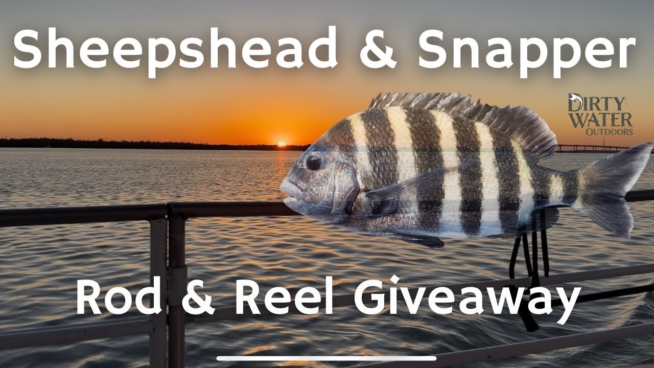 CRUSHING Sheepshead & Snapper in South Florida | ROD & REEL GIVEAWAY | Florida Fishing