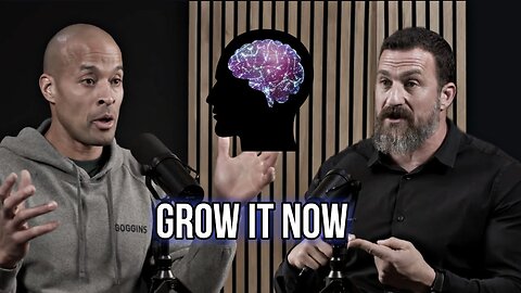 𝘽𝙪𝙞𝙡𝙙 𝙏𝙝𝙚 𝙒𝙄𝙇𝙇𝙋𝙊𝙒𝙀𝙍 | The Anterior Midcingulate Cortex